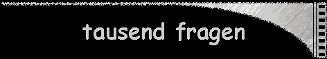 tausend fragen